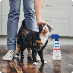 Zevo Multi-Insect Spray on floor next to pet cat.